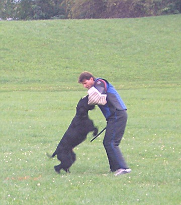 kniraci3.jpg